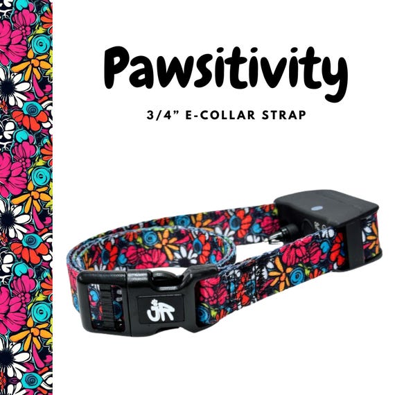 3/4" Replacement E Collar Strap for Mini Educator, Dogtra & Garmin | Screen Printed Polyester Webbing