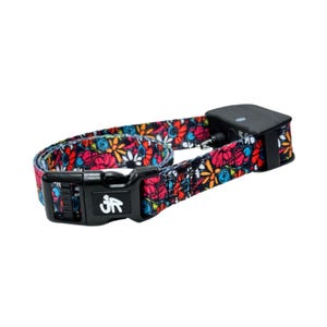 3/4" Replacement E Collar Strap for Mini Educator, Dogtra & Garmin | Screen Printed Polyester Webbing image 4