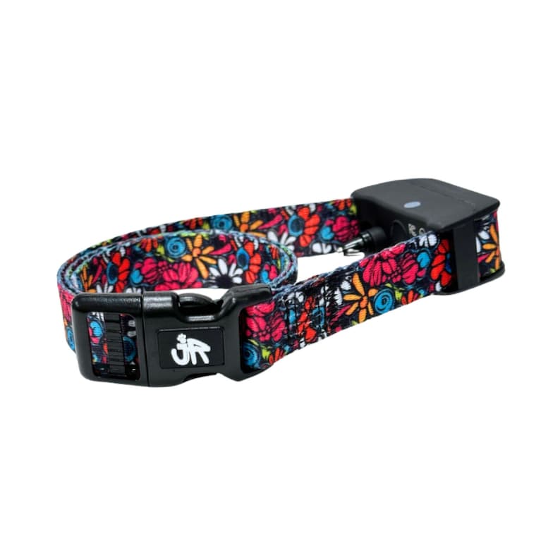 3/4" Replacement E Collar Strap for Mini Educator, Dogtra & Garmin | Screen Printed Polyester Webbing image 4
