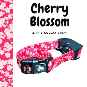 May include: A red and white cherry blossom patterned 3/4" E-Collar strap with a black buckle and a black electronic collar component. The text "Cherry Blossom" is above the strap.