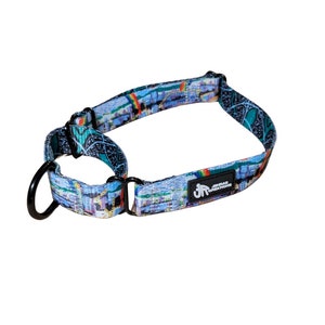 Boroughs Martingale Dog Training Collar: Pull-Tight Polyester Collar