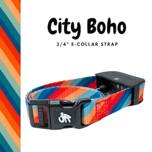 May include: A colorful 3/4" E-collar strap with a black buckle and receiver. The strap features a striped pattern in shades of red, orange, blue, and teal. The text "City Boho" is displayed above the strap.