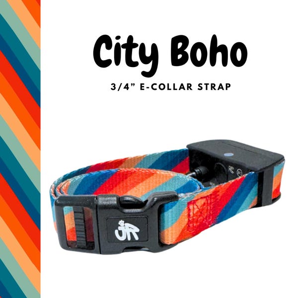 E Collar Strap 3/4 Inch, Fits Educator, Dogtra, Garmin, SportDOG, PetSafe Receivers, City Boho