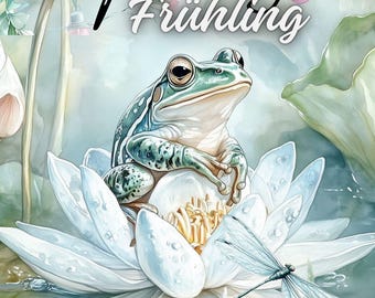 A6 “Seasons” 4 cover sheets / Budgeting / laminated / Item 070/2026