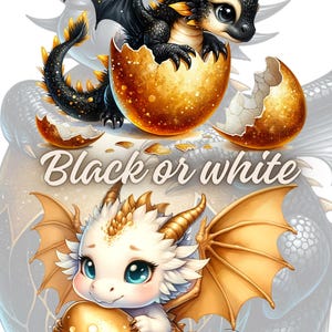 Könnte beinhalten: Digitale Illustration von zwei Baby-Drachen, einem schwarzen und einem weißen, die aus goldenen Eiern schlüpfen. Der schwarze Drache hat gelbe Akzente und der weiße Drache hat goldene Akzente. Der Text lautet "Black or white".