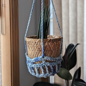 May include: A blue macrame plant hanger with a woven basket holding a potted plant. The plant is a snake plant with long, green leaves.