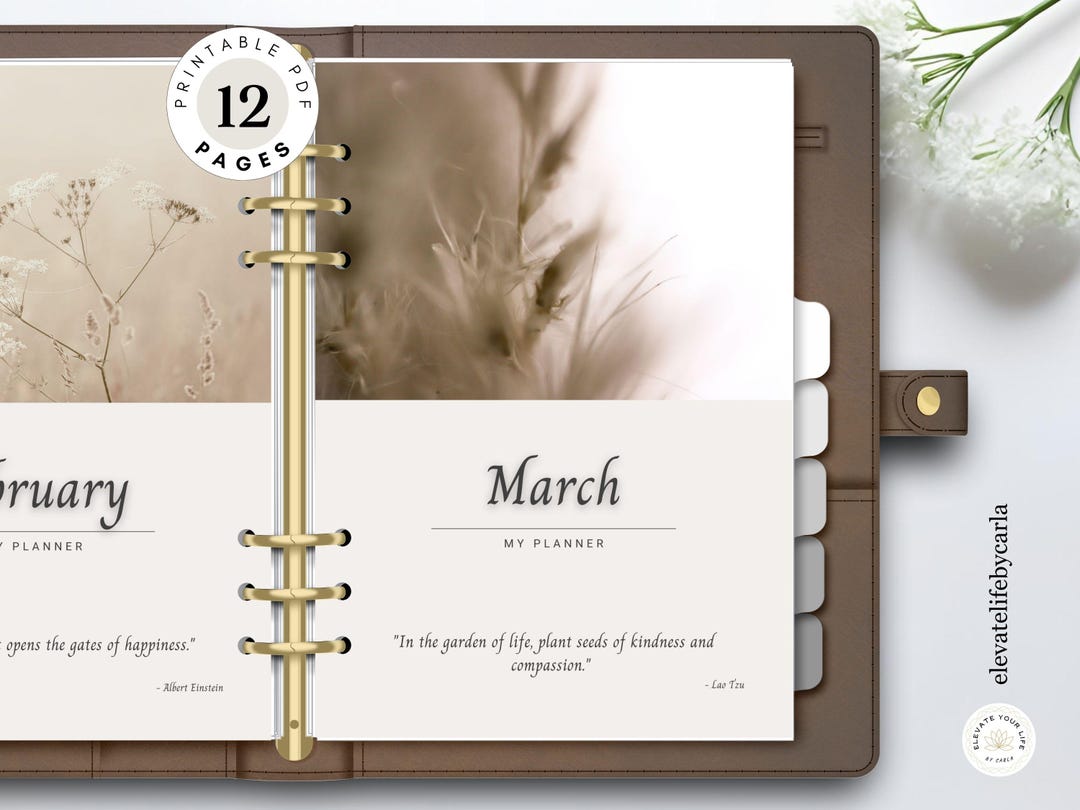 Aesthetic Monthly Planner Dividers – Printable Dashboard Set PDF | A4 ...