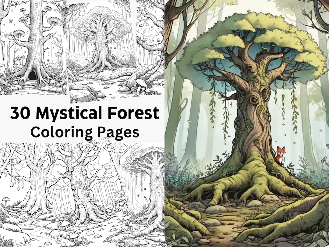 30 Mystical Forest Coloring Pages Digital Download for Everyone ...