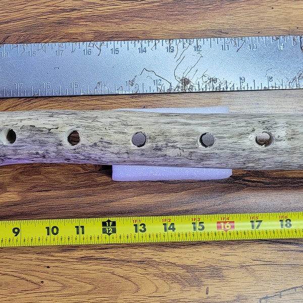 Shrimp and fish Breeder Driftwood(fits 20 Long tank)- Aged cottonwood, Beaver-chewed ends, .5" holes spaced 2" apart, 26"x 2", 1lb 8oz