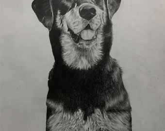 Custom Pet Portraits