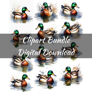 Prachtige mallard duck clipart instant download voor sublimatie design en ambachtelijke projecten