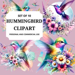 Watercolor Hummingbird Clipart Set: Floral PNG Graphics (Digital Download, Commercial Use)