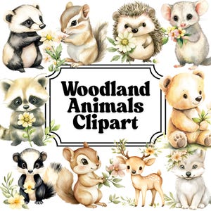 Woodland Animals Clipart Watercolor, Cute Creature Clipart Set, Nursery Clipart Transparent PNGs, Fox, Bear, Deer Sublimation Design Files