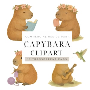Clipart de capivara, PNG de capivara, ilustrações de animais, download digital, gráficos fofos de capivara