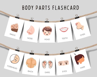 Fiszki z ciałem człowieka do druku dla dzieci, karty do nauki części ciała, materiały edukacyjne Montessori dla przedszkolaków do druku