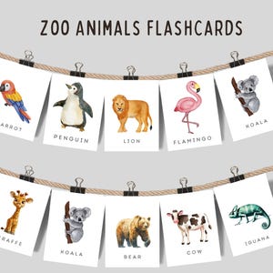 Zoo Animals Flash Cards, Montessori Toddler, Safari Animals, Educational Printable Flashcards, Preschool Flashcards, Instant download.