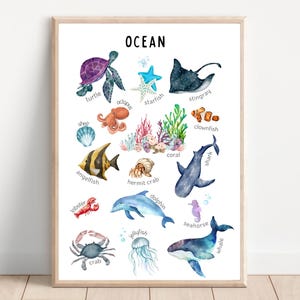 Meerestiere Druck, Kinderzimmer Poster, Montessori Kindergarten, Hausschule lernen, Kinderzimmer Wandkunst, Spielzimmer Dekor, digitaler Download.