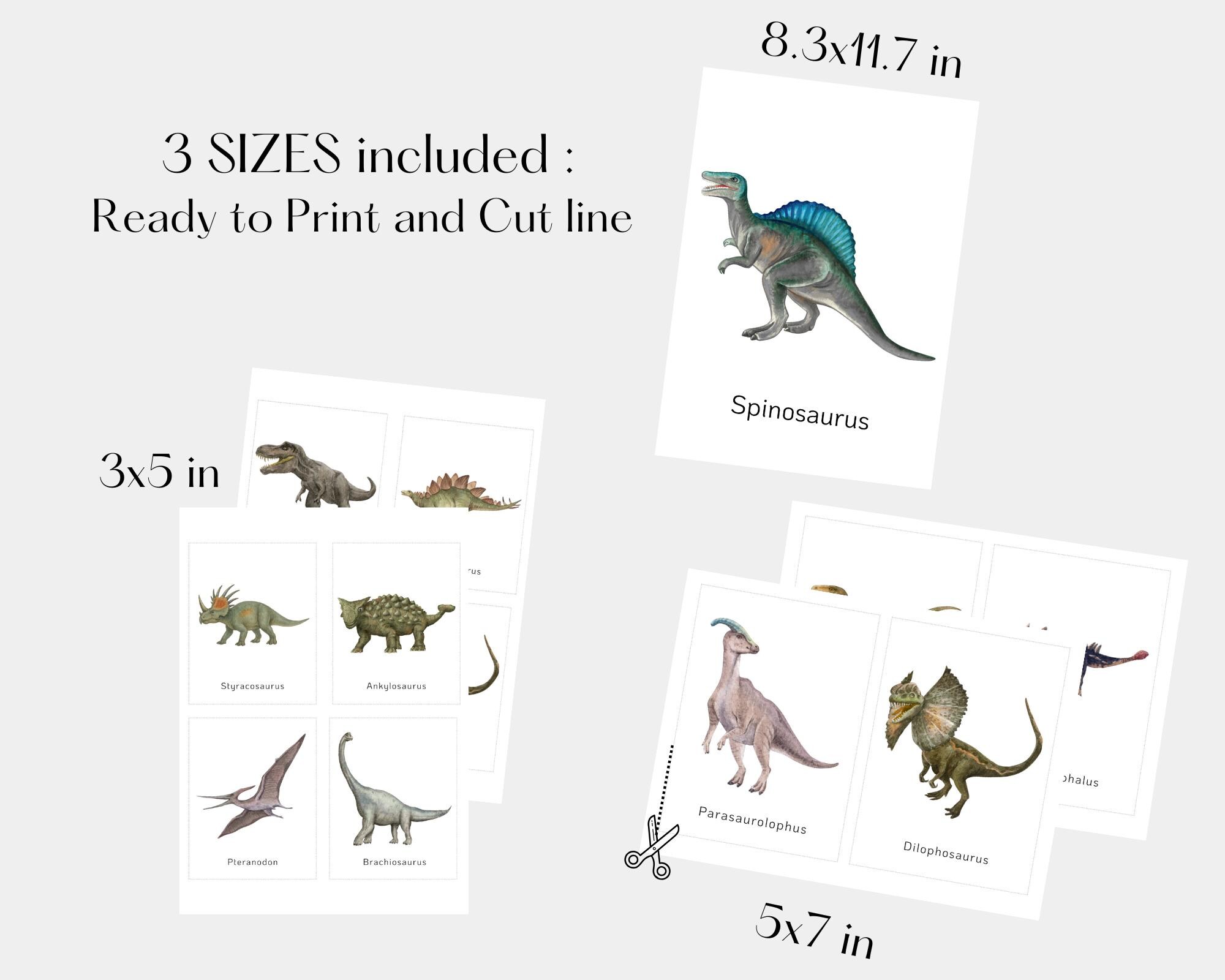 Dinosaur Flashcards | Printable Learning Cards 24 Prehistoric Dino for ...