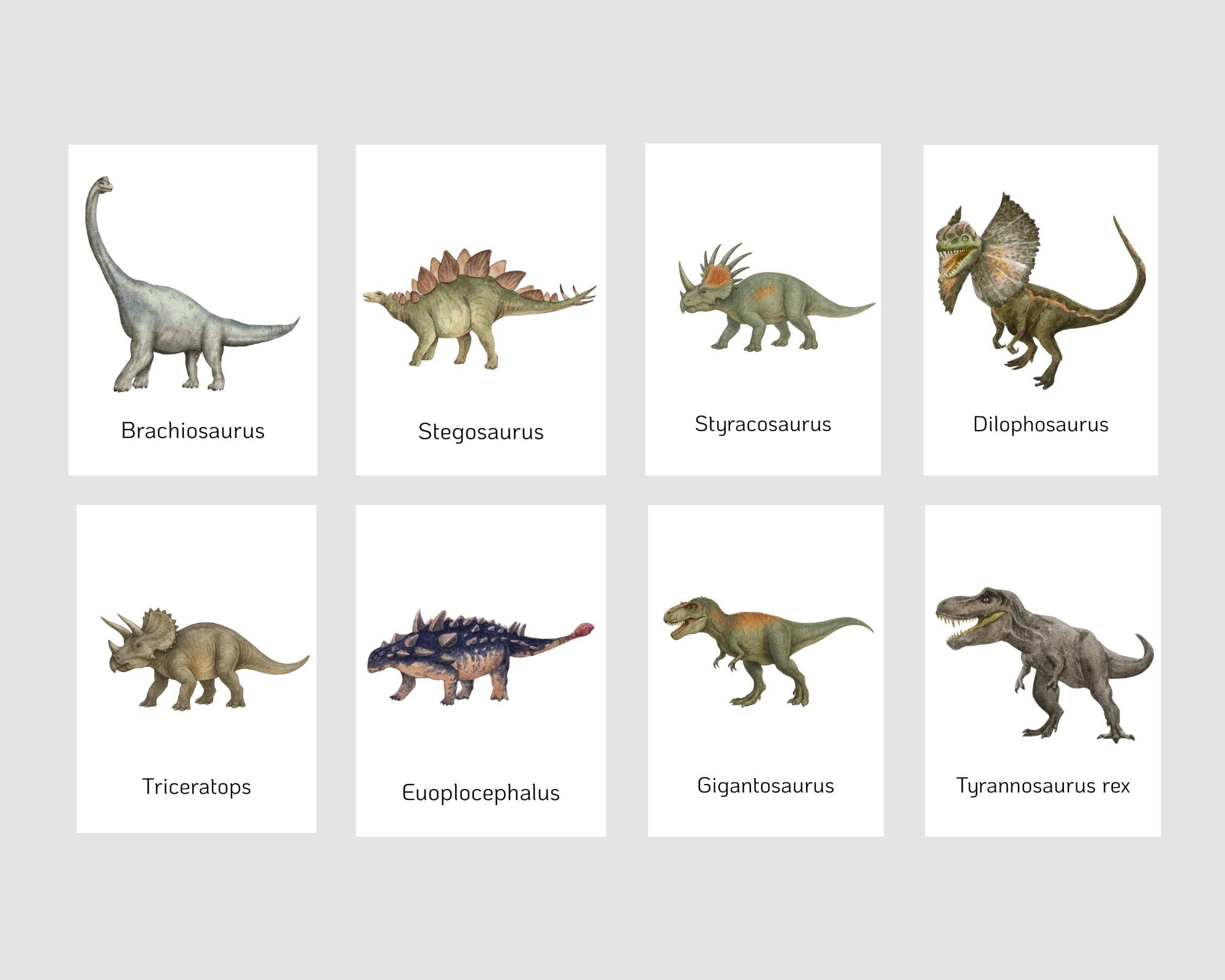 Dinosaur Flash Cards Printable for Kids, Watercolor Dino Flashcards ...
