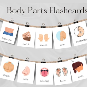 24 cartes-éclair sur les parties du corps, éducation Montessori, apprentissage préscolaire, enseignement à domicile, cartes de nomenclature imprimables, anatomie humaine pour enfants.