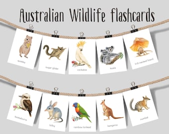 Fiszki ze zwierzętami australijskimi do druku, nauka o dzikiej przyrodzie w akwarelach dla dzieci, karty Montessori dla przedszkolaków, materiały edukacyjne dla maluchów