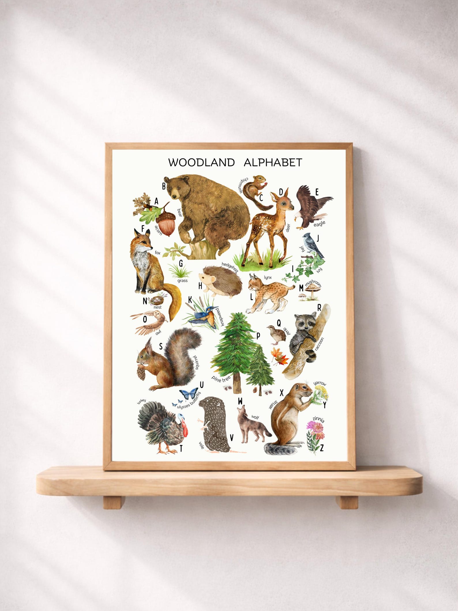 Woodland Alphabet Poster | Forest Animals A–Z Print | Educational ...