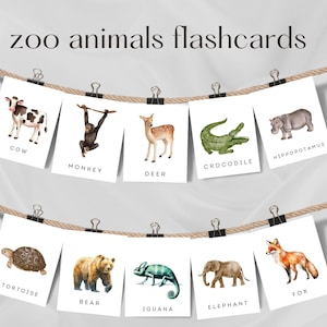 Zoo Animals Flash Cards, Montessori Toddler, Safari Animals, Educational Printable Flashcards, Preschool Flashcards, Instant download.
