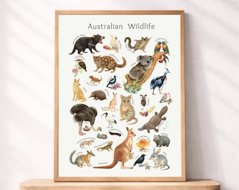 Plakat z australijską dziką przyrodą do druku, akwarelowe obrazy zwierząt rodzimych, dekoracja pokoju dziecięcego, nadruk ze zwierzętami z Australii