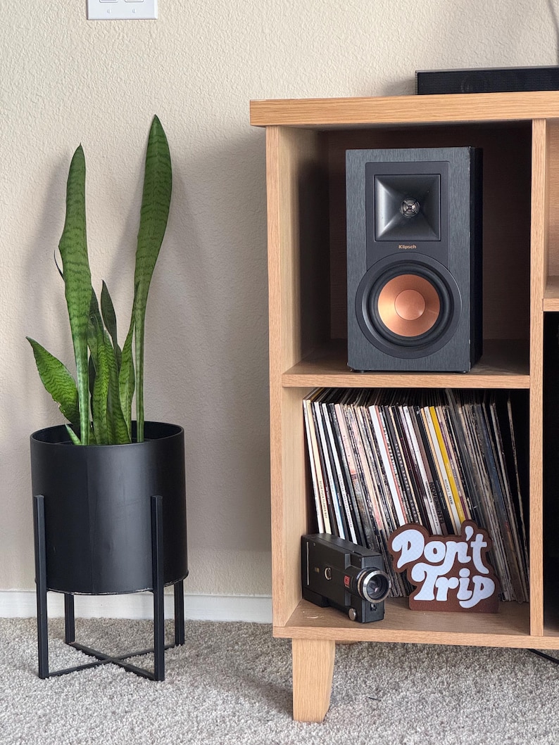 Pode incluir: Um alto-falante preto com um cone cor de cobre est&aacute; em uma prateleira de madeira ao lado de discos de vinil. Uma floreira preta com uma planta-cobra e uma c&acirc;mera vintage tamb&eacute;m s&atilde;o vis&iacute;veis. Uma placa que diz "Don't Trip" tamb&eacute;m est&aacute; na prateleira.