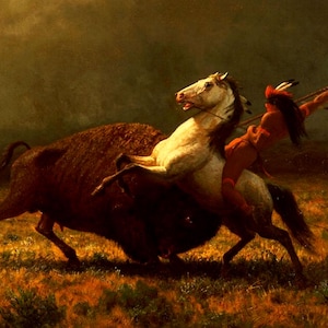 Albert Bierstadt Buffalo Hunt, Native American Art Print, Corcoran Gallery