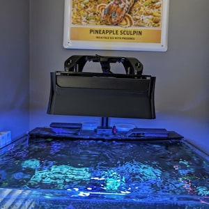 Op de afbeelding: Een zwarte aquariumlamp gemonteerd boven een glazen bak met koraal en water. Boven de bak hangt een rechthoekig metalen bord met de tekst BALLAST POINT, DEDICATED TO THE CRAFT CO, PINEAPPLE SCULPIN en MEIN FALE EIV WITH PRESENCE.