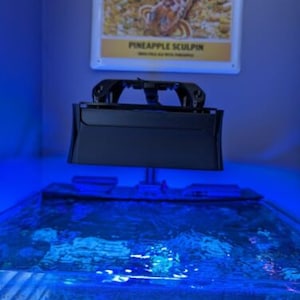 May include: A black aquarium with a blue light shining on the water. The aquarium is on a white surface. The text "Ballast Point" is visible on a sign above the aquarium.