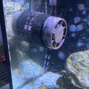 May include: A close-up of a small, black and purple water pump with a white background. The pump is submerged in water and is surrounded by coral and other marine life.