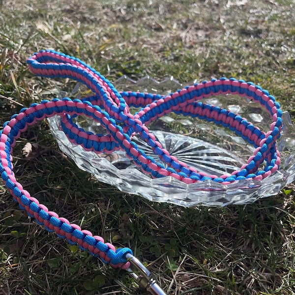 Custom Standard Paracord Dog Leash, Choose Your Colors and Closure