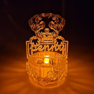 Small Custom Dog Light with Bones and Paws, Personalized Pet Light, Battery or USBC Powered, Pet Memorial Gift, Multiple Colors Available