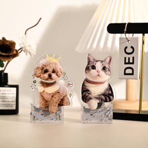 May include: Two clear acrylic pet figurines. One features a poodle wearing a crown and a fluffy coat. The other is a cat with gray and white stripes and a red collar. Both are on a clear base with decorative elements.