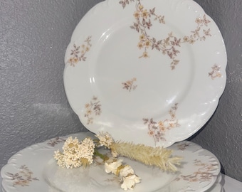 リモージュ磁器ディナープレート：紫の花、GDAフランス、CHフィールド