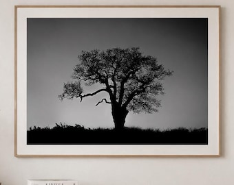 Impression de silhouette d'arbre solitaire en noir et blanc, affiche de nature minimaliste (téléchargement numérique)