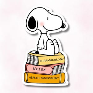 Nursing  Student Sticker,  Gift for Future Nurse, NP, BSN, RN
