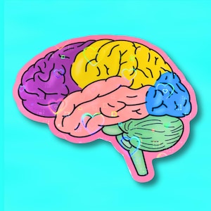 brain heart holographic sticker, psychology stickers, Gift for psychologist, psychiatrist, pre med, neuroscience, researcher, phd student