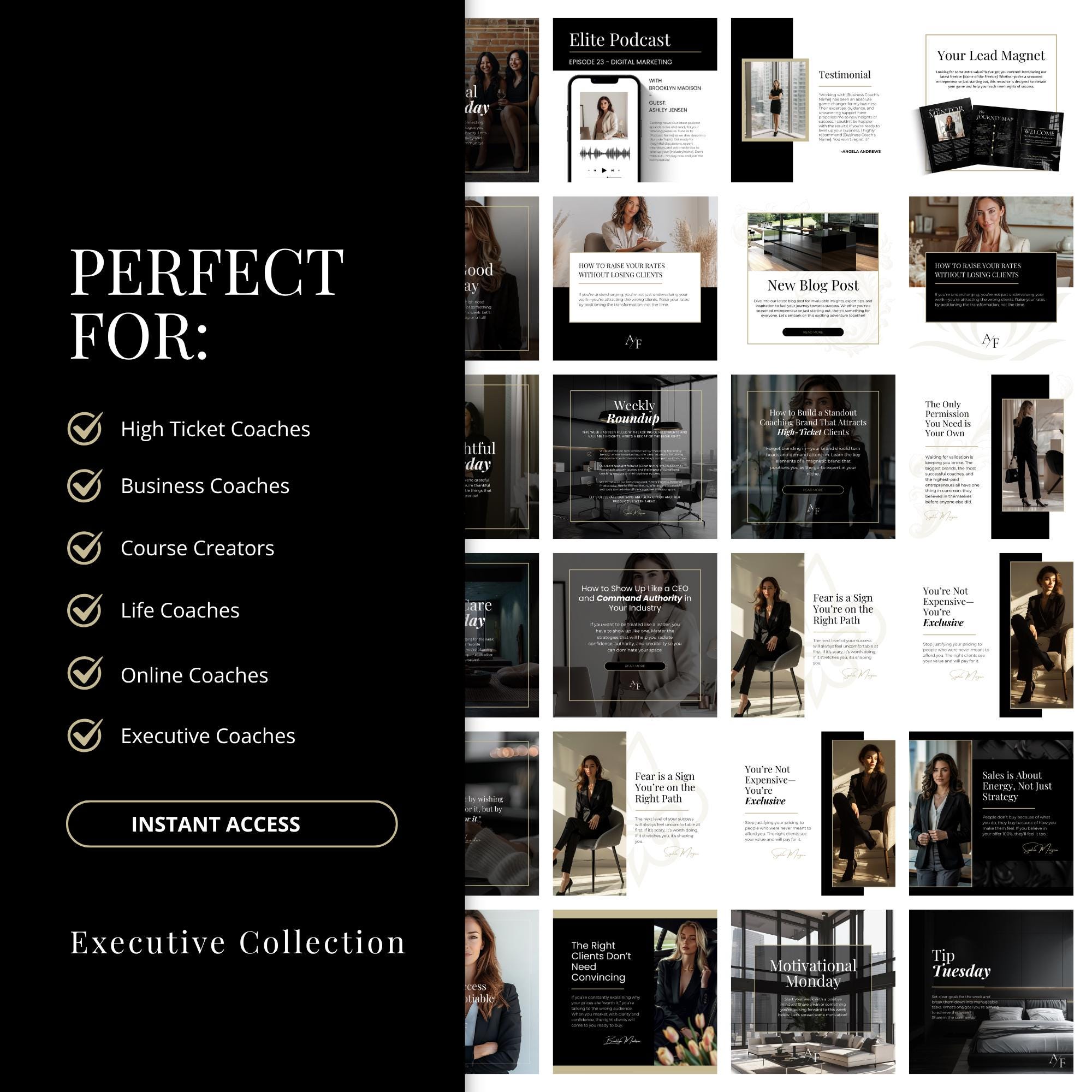 Luxe Social Media Canva Templates: Executive Coach Instagram Posts (60 ...