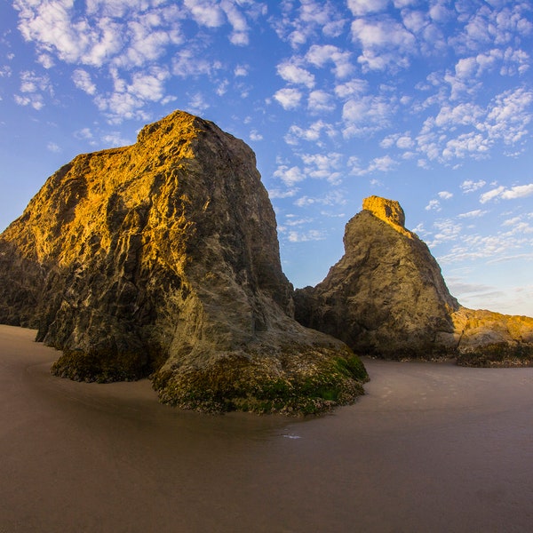 Bandon Beach Elephant Rock Oregon Coast, Free Download, Oregon Coast, Oregon, Sea Stacks, Digital Downloads, High Resolution & File Size