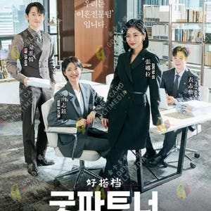 Good Partner Korean Drama DVD (Eps 1-16, English Subtitle)