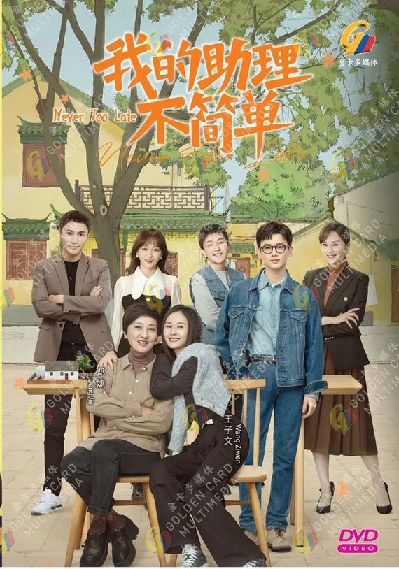 DVD 中国ドラマ Never Too Late Vol.1-37 完 (2023 、我的助理不简单