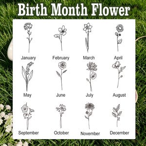 May include: A white rectangular chart titled Birth Month Flower featuring twelve black line art illustrations of flowers, each labeled with a month from January to December, including carnation, violet, daffodil, daisy, lily, rose, lotus, poppy, morning glory, cosmos, chrysanthemum, and holly.