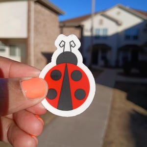 Small Ladybug (Transparent Sticker)