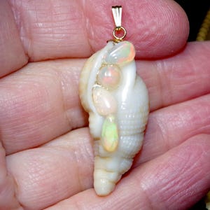May include: A pendant featuring a white spiral seashell adorned with four smooth, iridescent, multi-colored opals set along the center. The shell is topped with a small gold-toned metal bail for hanging, showcasing a natural texture.