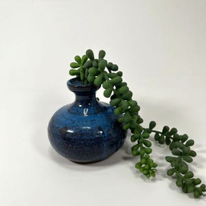 May include: A small, blue ceramic vase with a round body and a narrow neck. The vase is decorated with a dark blue glaze and has a speckled finish. A green succulent plant is arranged in the vase.