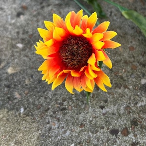 May include: A vibrant artificial sunflower with yellow and orange petals and a dark brown center. The flower is set against a textured gray surface, with green stems and leaves visible in the background. A decorative floral accent.
