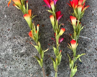 Indian Paintbrush Faux Flower Stem, Realistic Wildflower, 18-inch